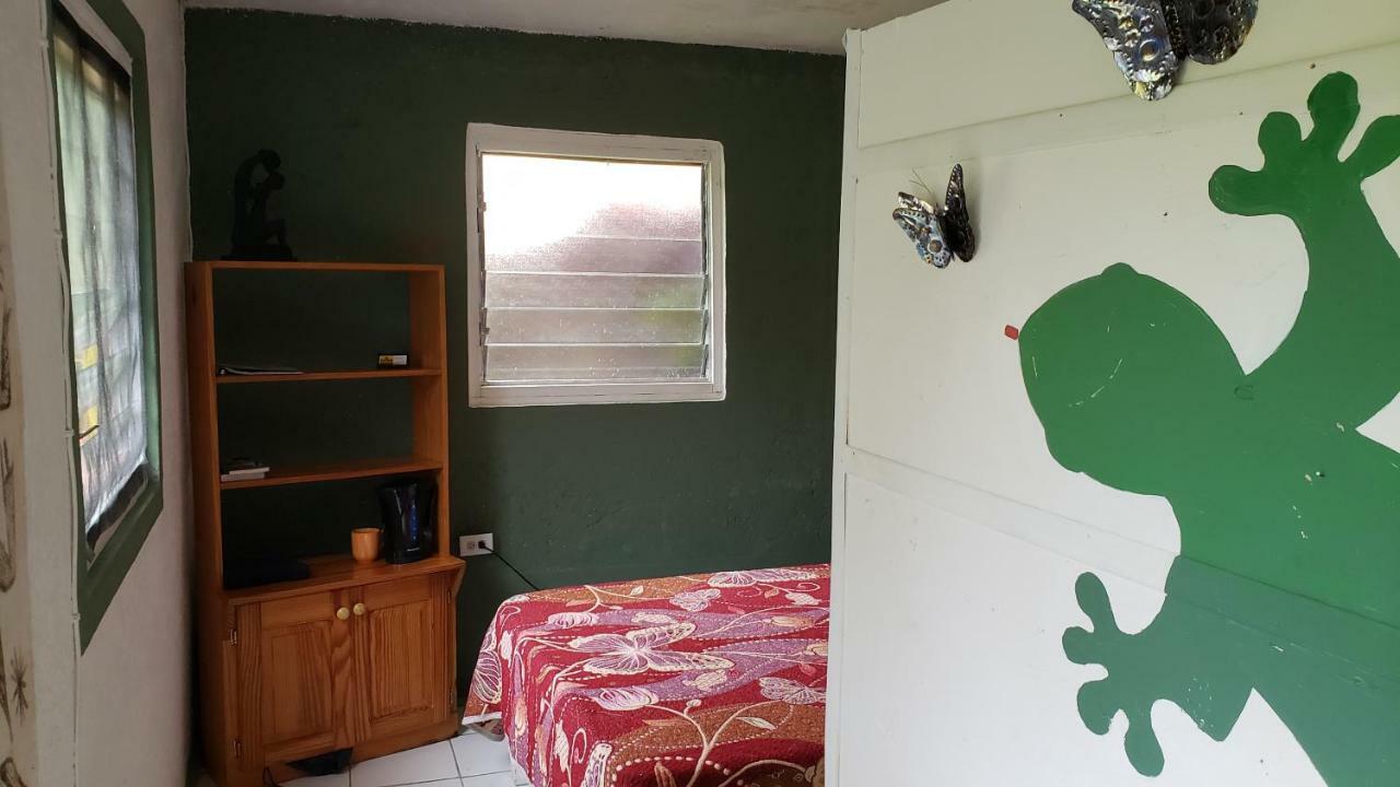 Valley Guest house Irish Town