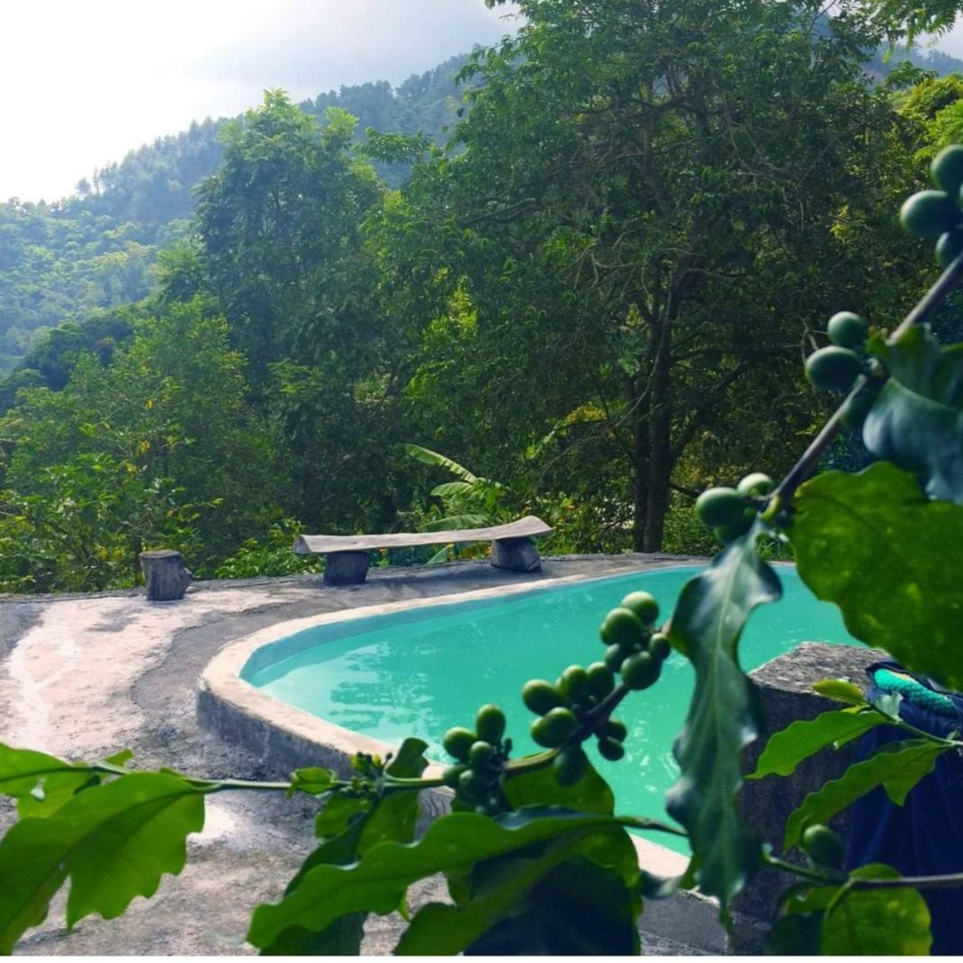 Guest house Valley