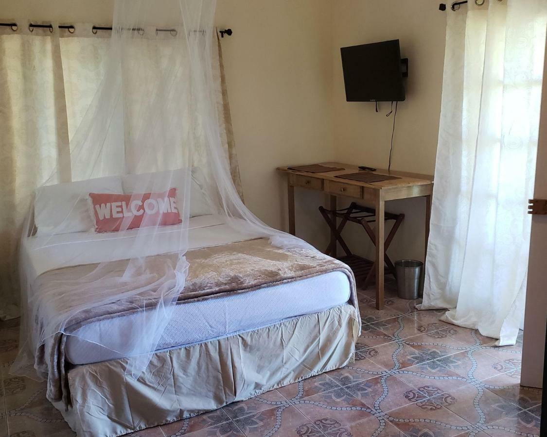 Hostel Viva Violas
