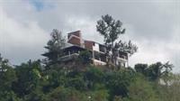 Hotel Tranquility Estate Bed And Breakfast Kingston