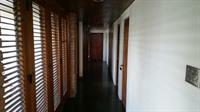 Tranquility Estate Bed And Breakfast Kingston