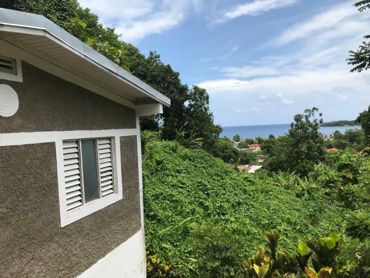 Viva Violas Port Antonio