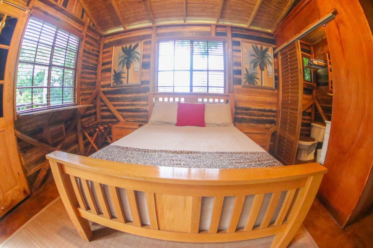 Log 33 Guest house Ocho Rios