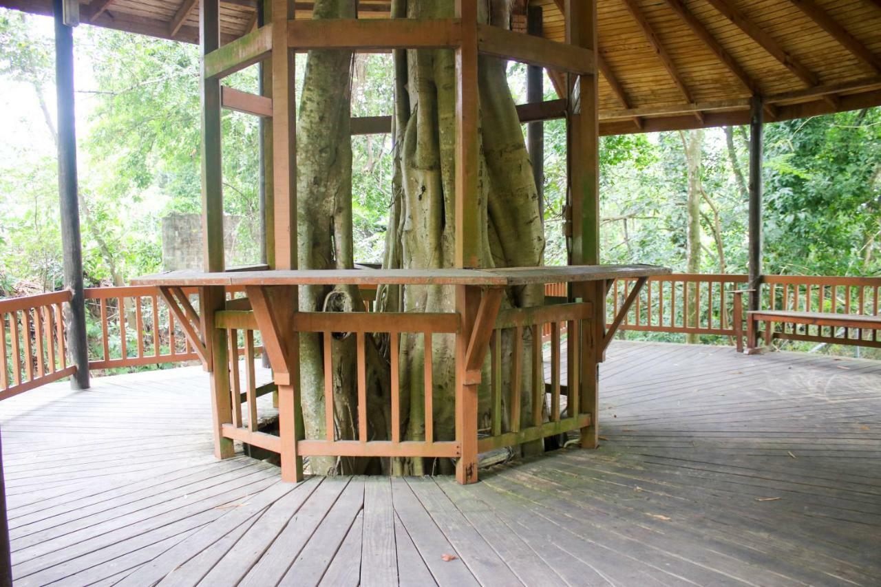 Log 33 Guest house *