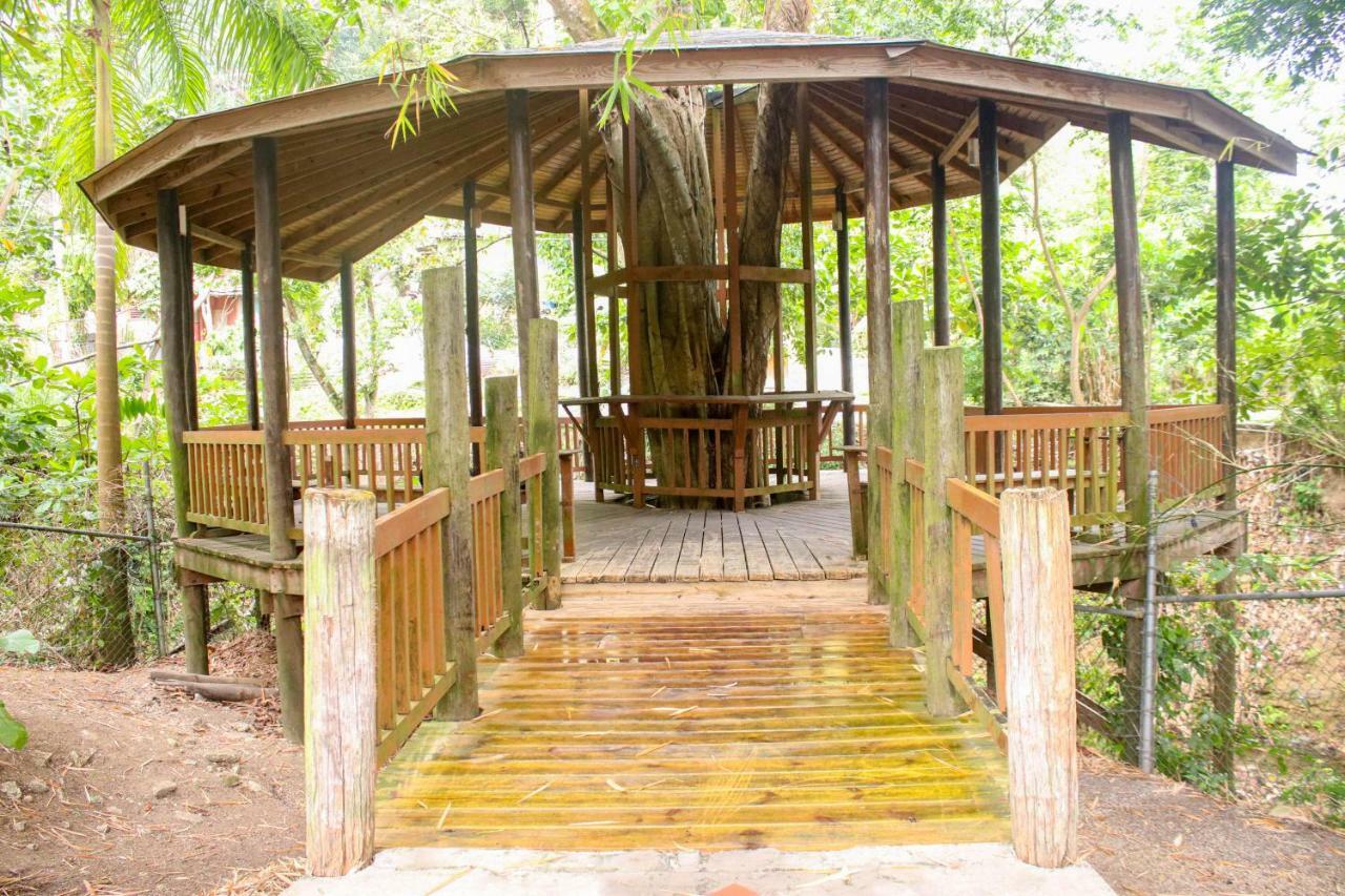 Log 33 * Ocho Rios