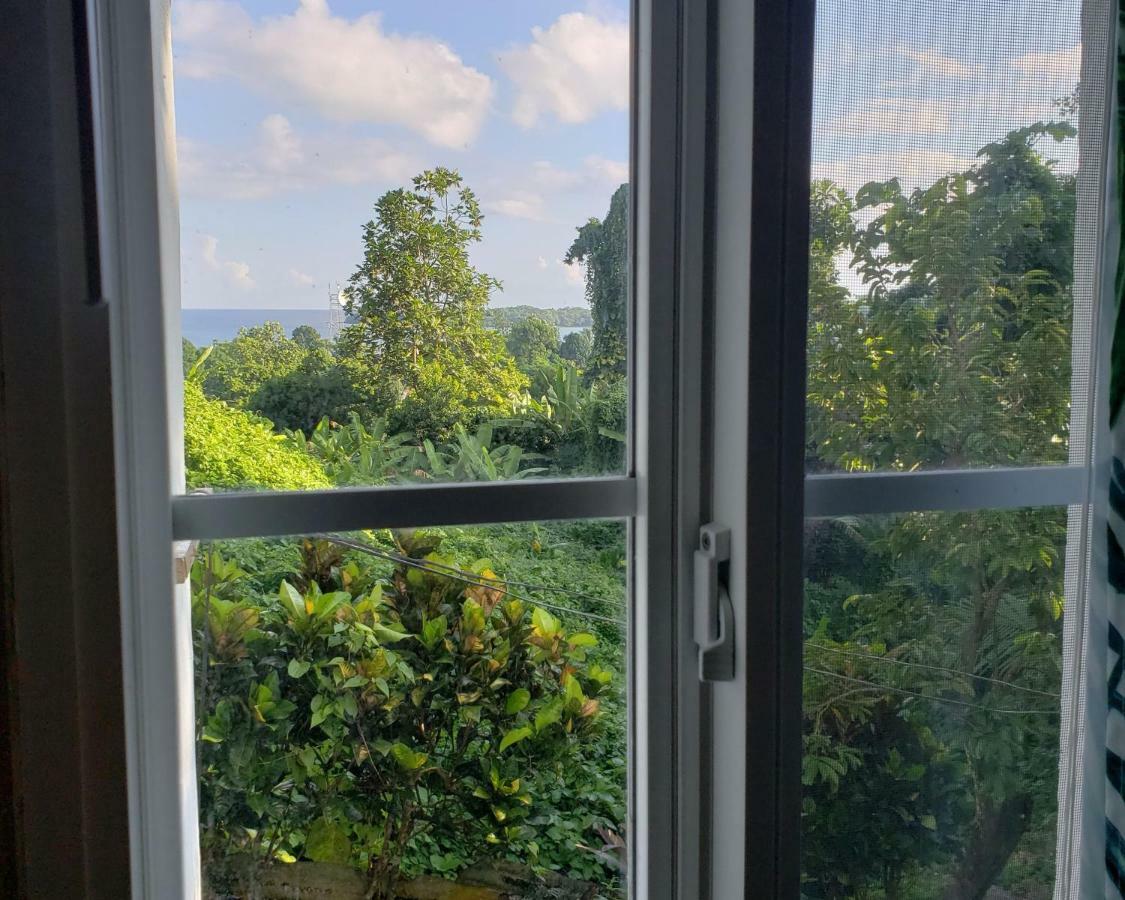 Viva Violas * Port Antonio