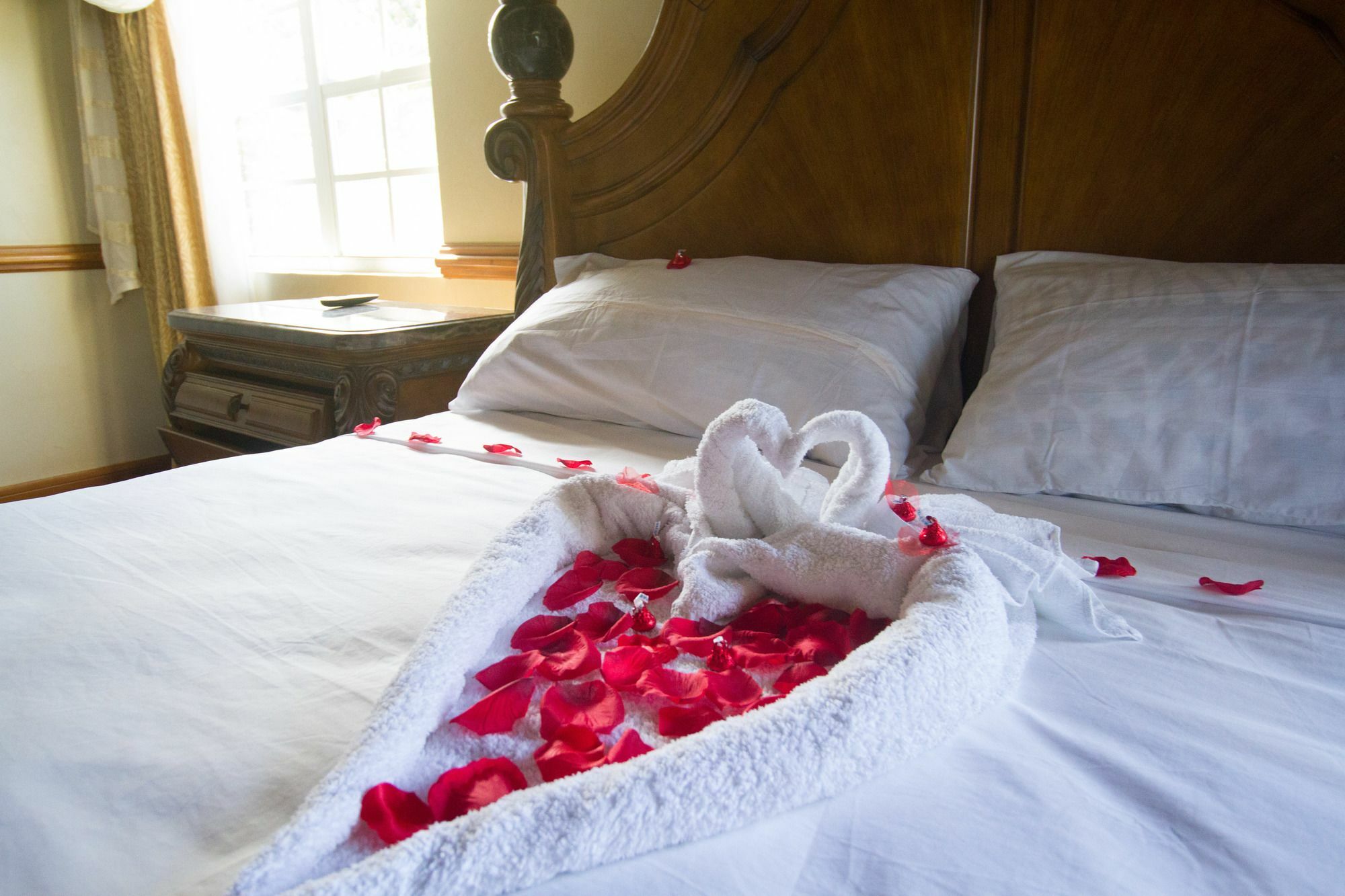 Guest house Steel Montego Bay
