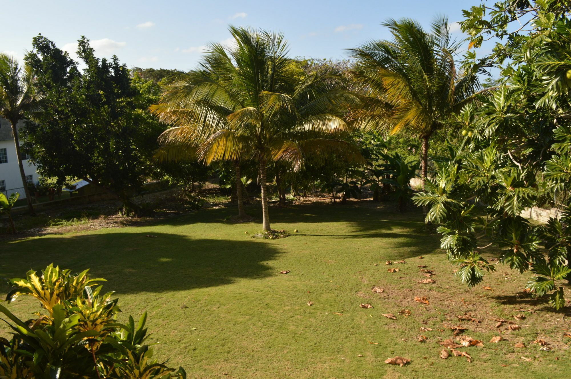 Sea Grove Montego Bay
