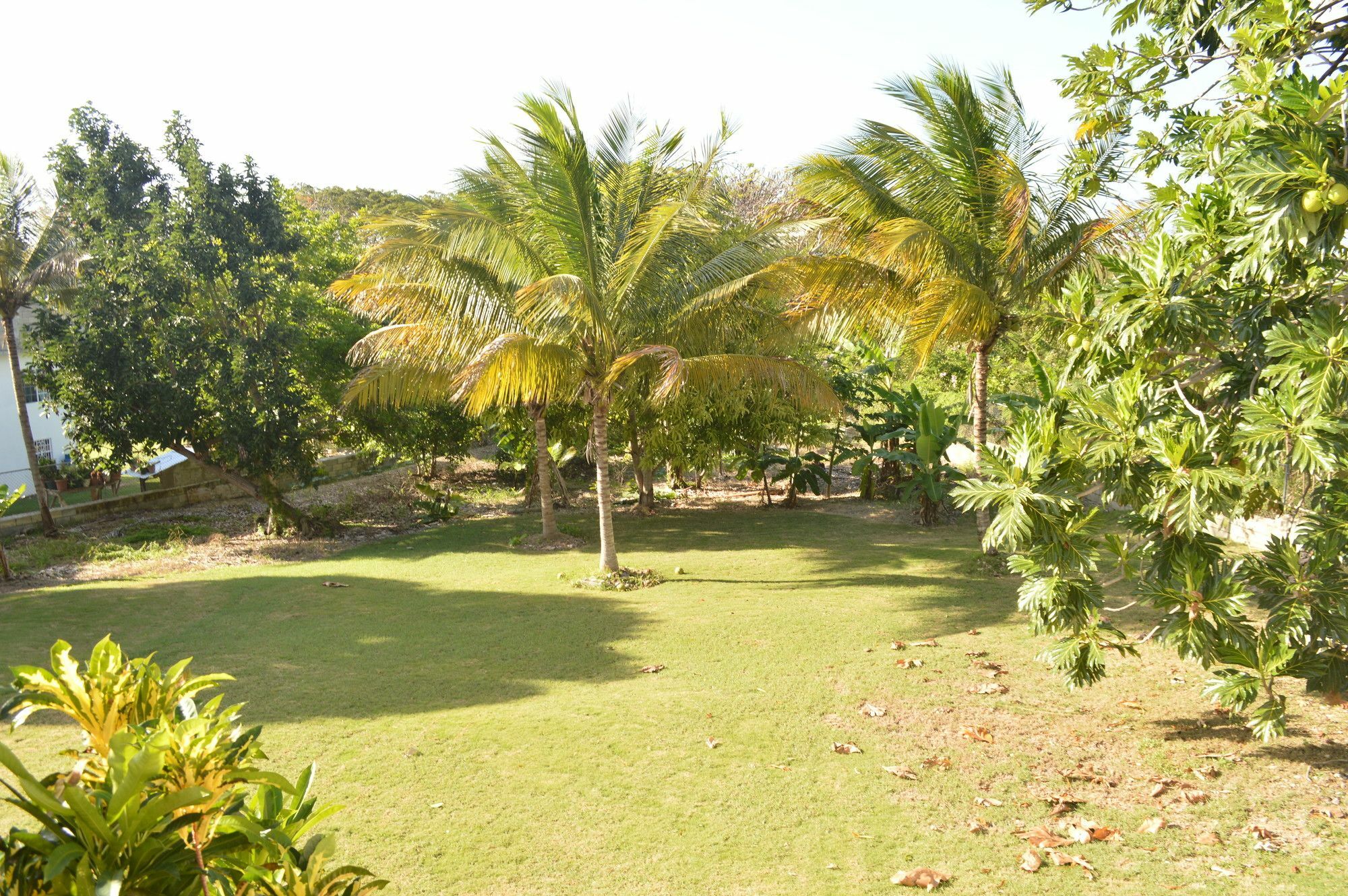 Villa Sea Grove