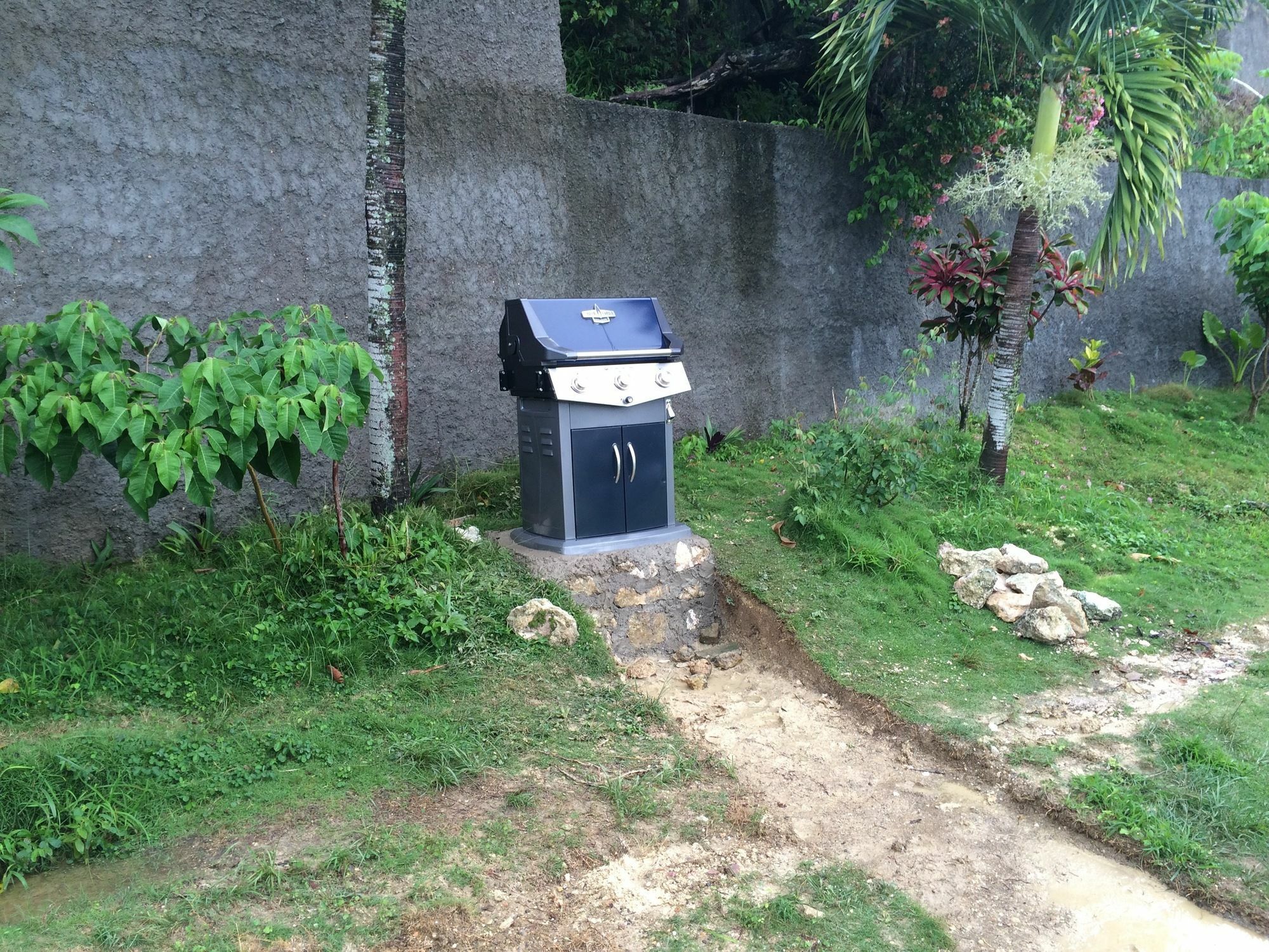 Teresinajamaica