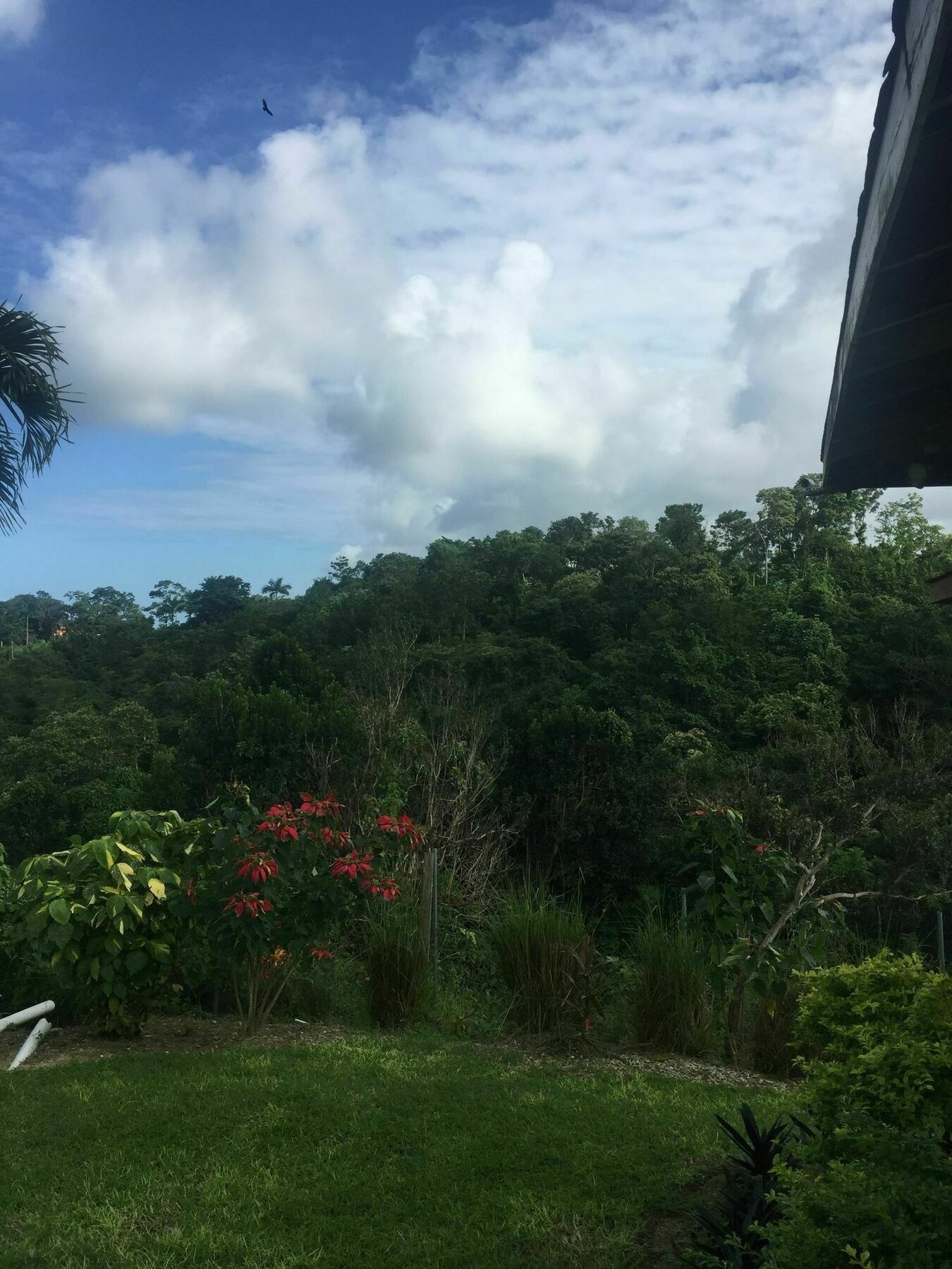 Guest house Teresinajamaica Saint Ann's Bay