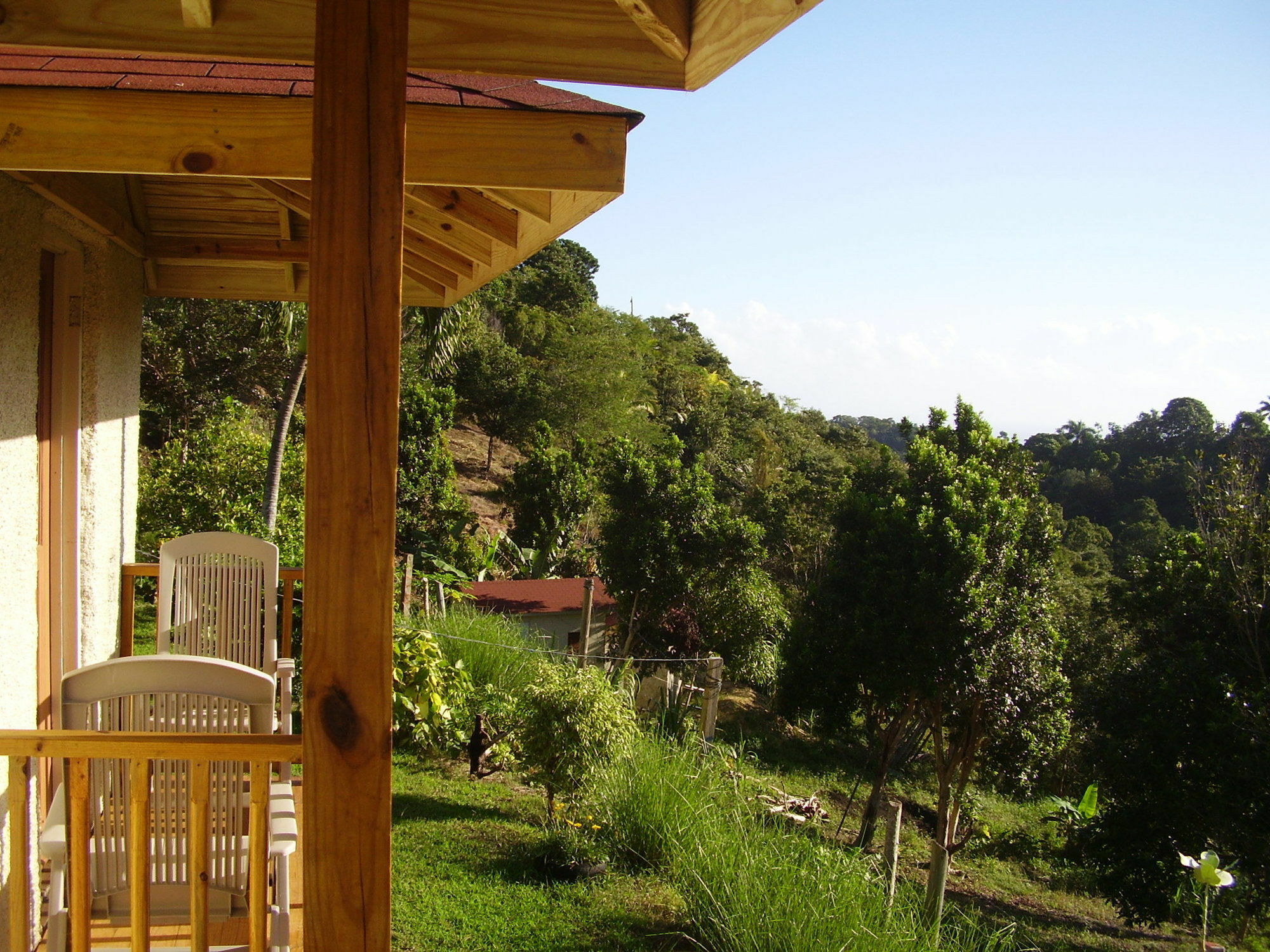 Teresinajamaica Guest house 2*