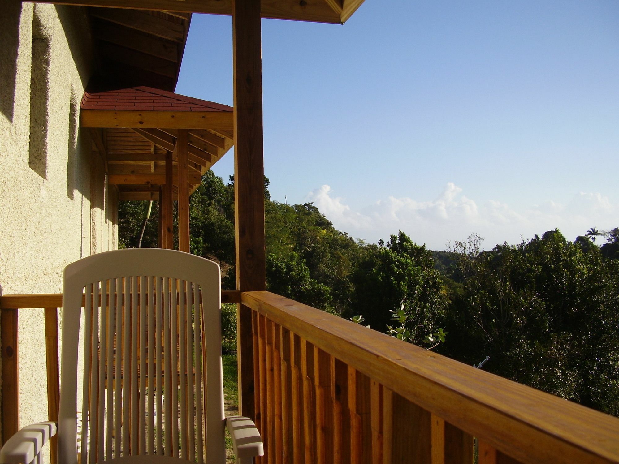 Teresinajamaica Guest house
