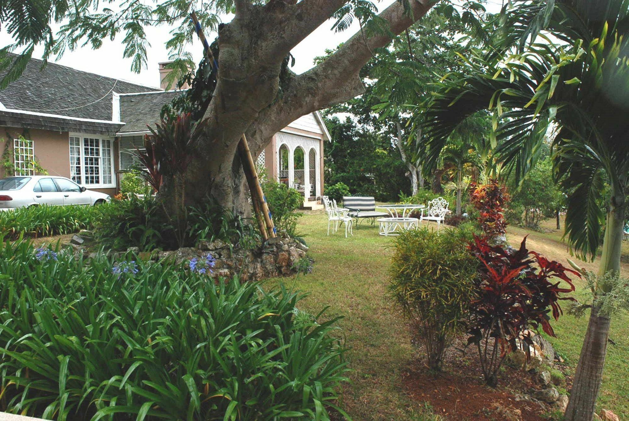 June Plum Bed & Breakfast 3*