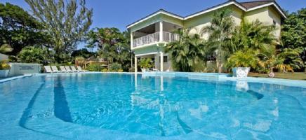 Paradise Tropical Spice - *