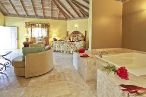 Paradise Tropical Spice -