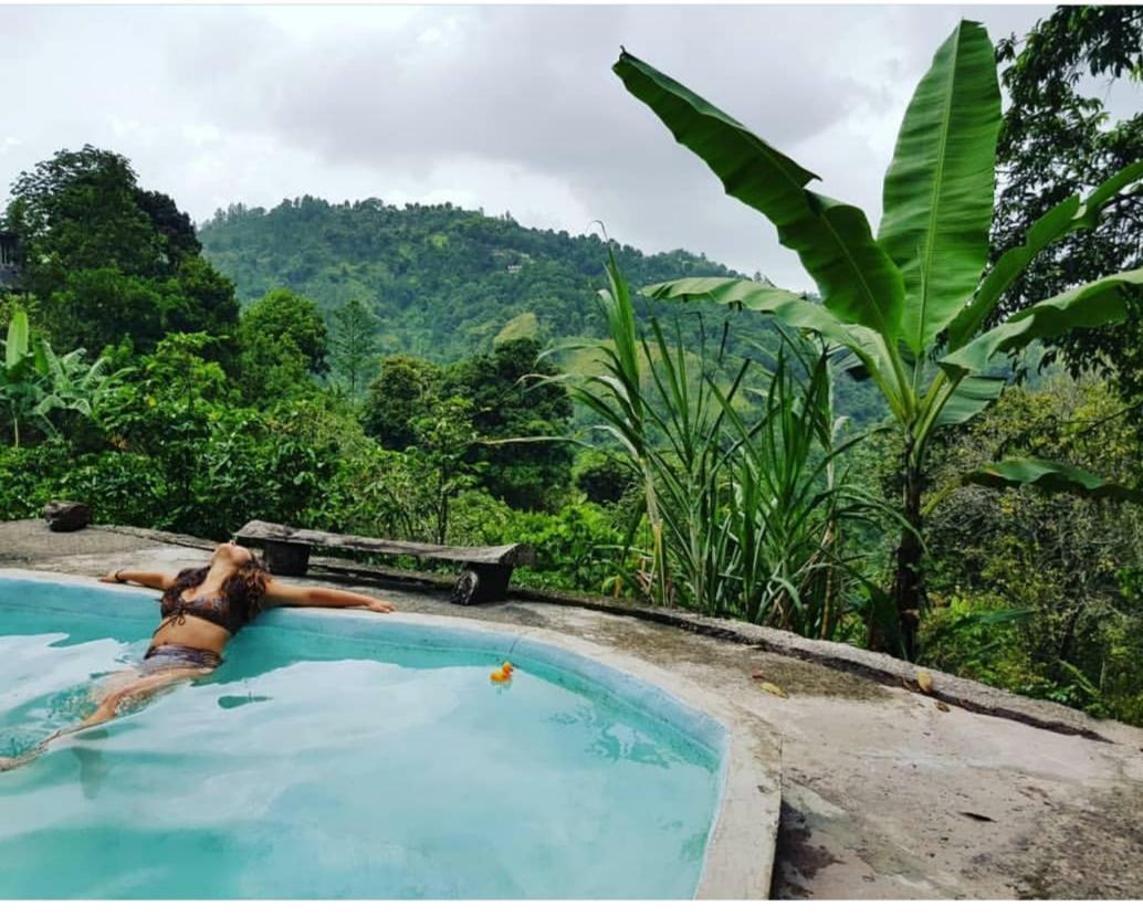 Valley Guest house *