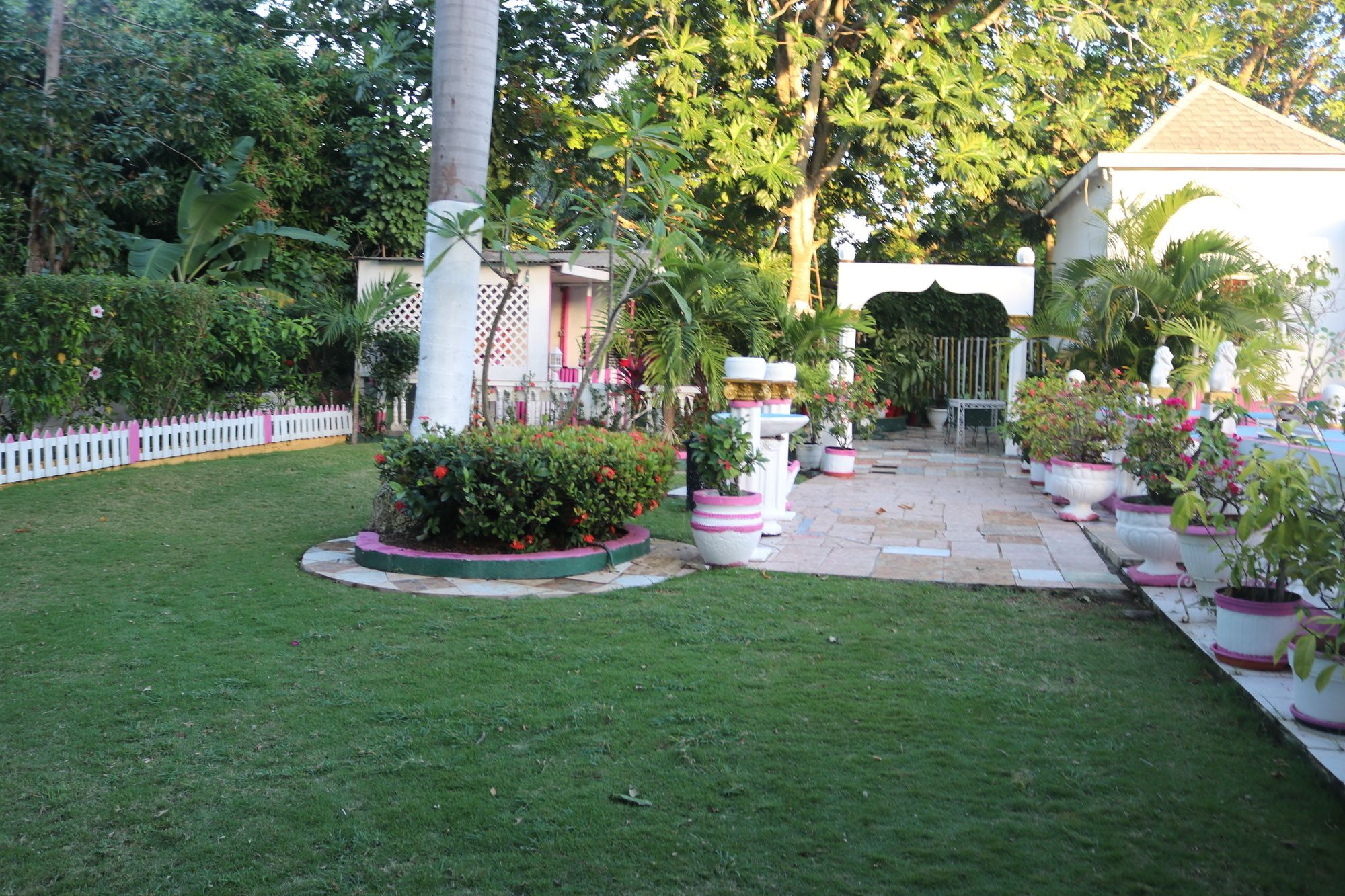 Hibiscus Hostel Montego Bay