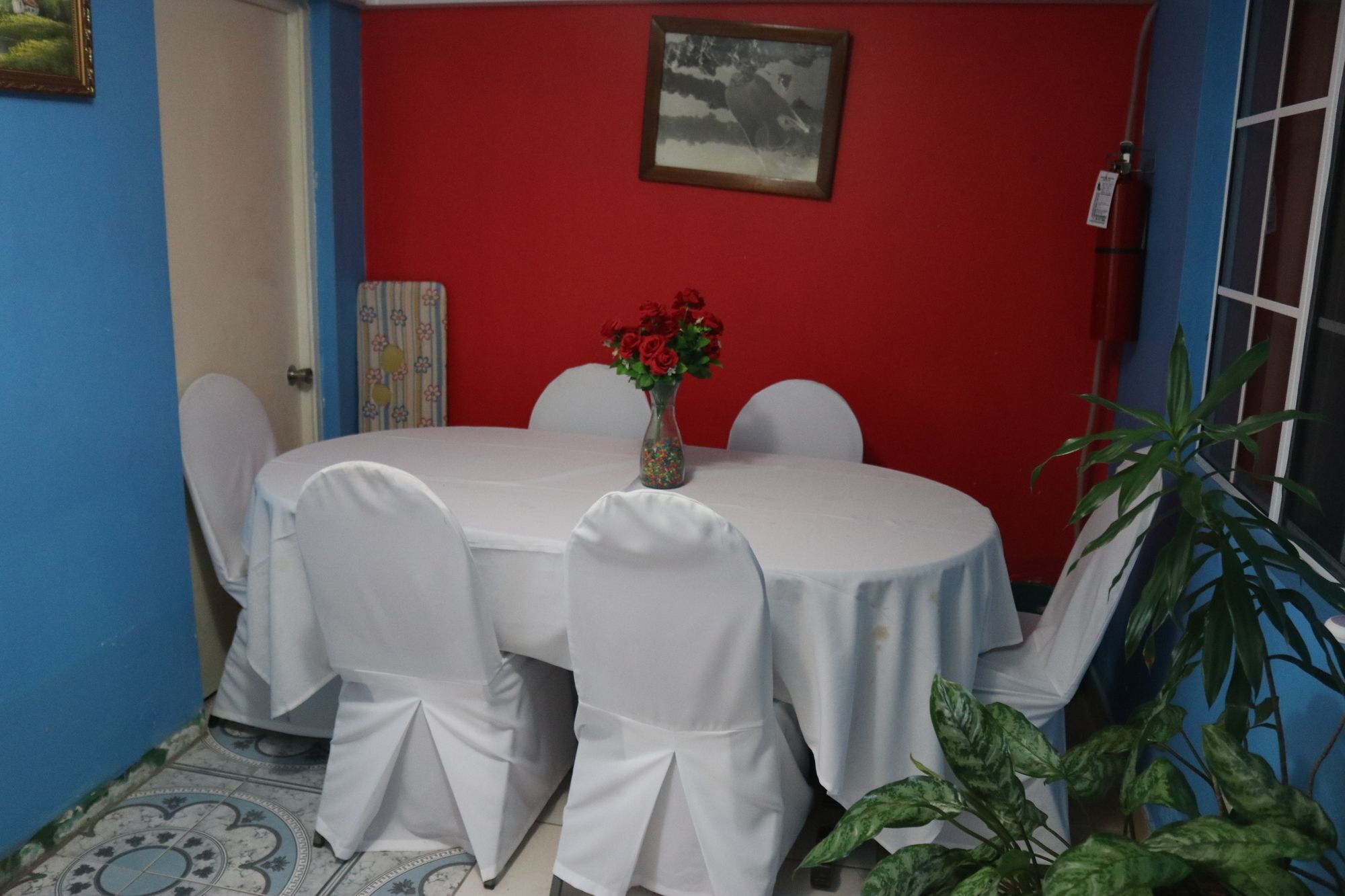 Hibiscus Hostel