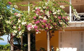 Bed & Breakfast Polkerris 3*