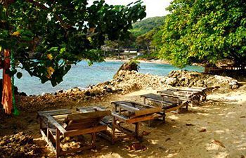 Hotel Great Huts