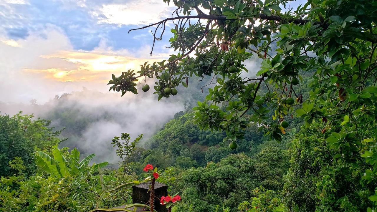 Valley Guest house *