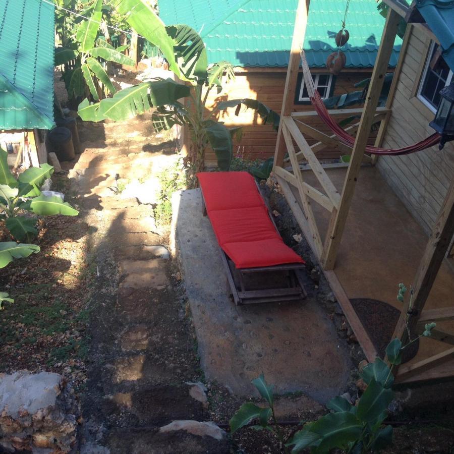 Guest house Rasta Port Antonio