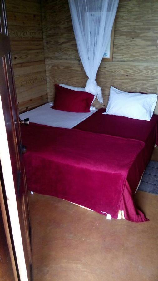 Guest house Rasta