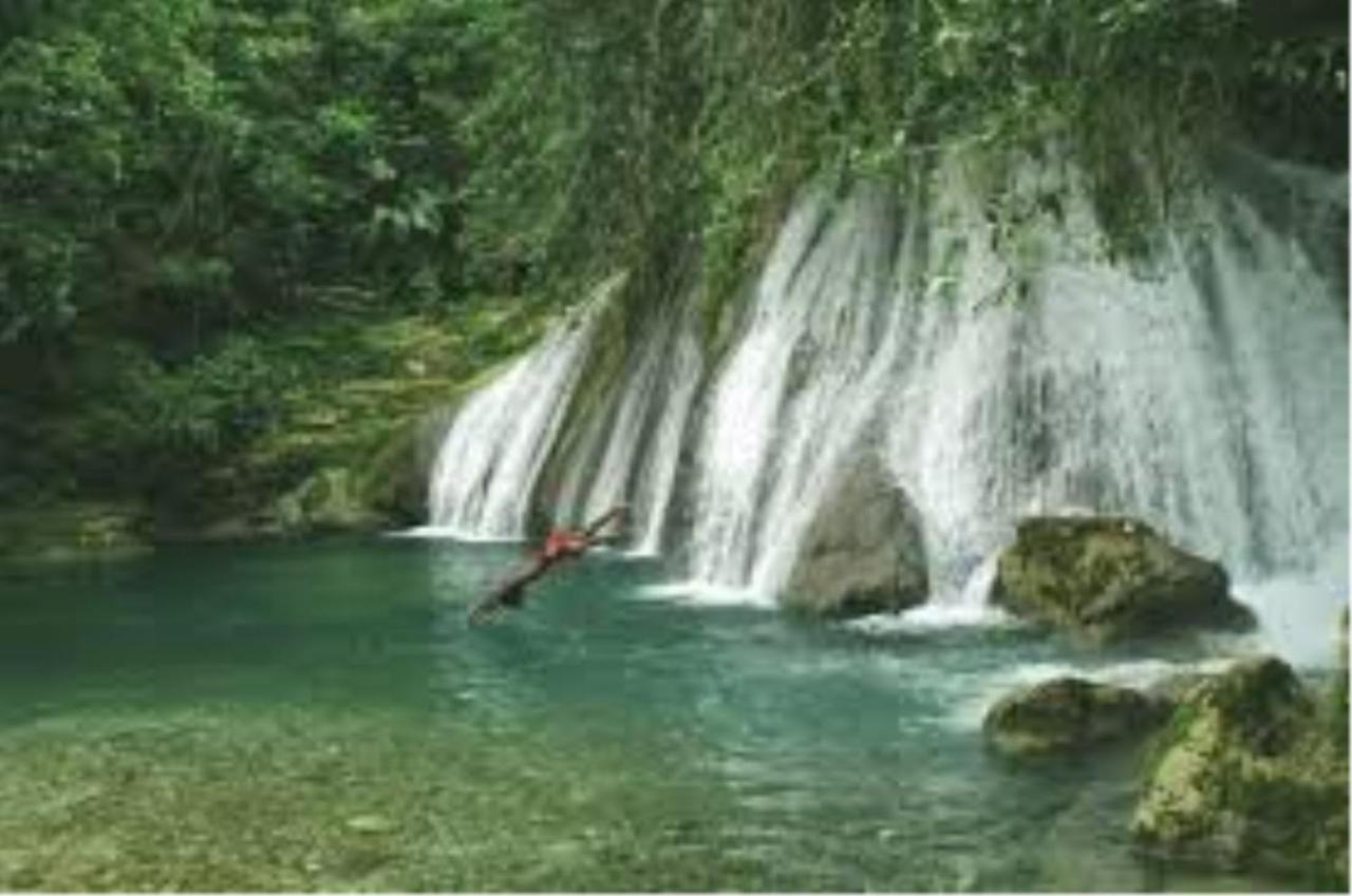 Rasta Port Antonio