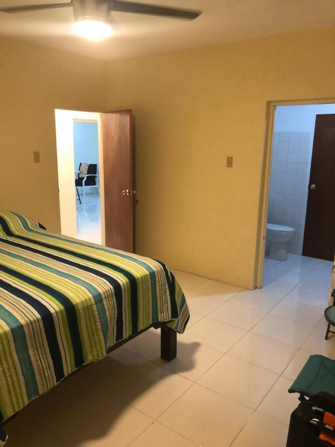 Molynes Kingston