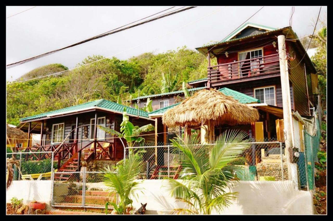 Rasta Guest house *