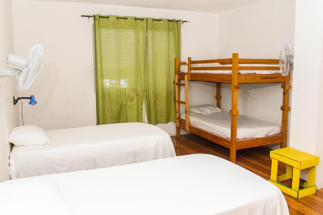 Hostel Reggae