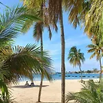 Beach Studio 20