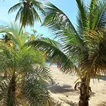 Beach Studio 20