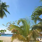 Beach Studio 20