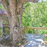 Kassion Corner