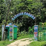 Kassion Corner
