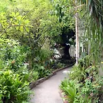 The Liguanea Club
