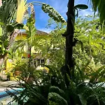 Orchid Cottage