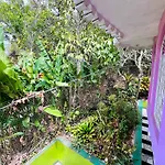 Nine Miles Cultural Hangouts And Tours