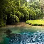 Ninth River Ocho Rios