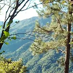 Blue Mountain Wilderness Retreat Jamaica House