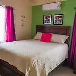 2 Bdr B&B Near Martha Brae River Rafting