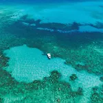 Sandals Dunns River All Inclusive Couples Only