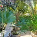 Forest Court Guest House