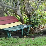 Hotel Jamaican Colors