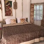 Shi Shed! Africa Village