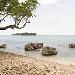 Paradise On The Rocks