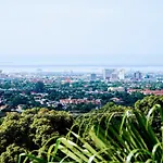 Jacks Hill Tropical Arcadia