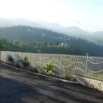 City View Hotel